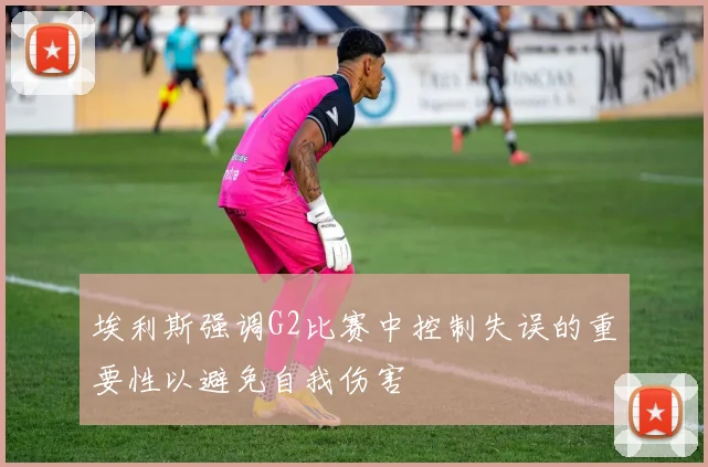 埃利斯强调G2比赛中控制失误的重要性以避免自我伤害